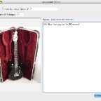 GuitarLogInstrumentDetail.png